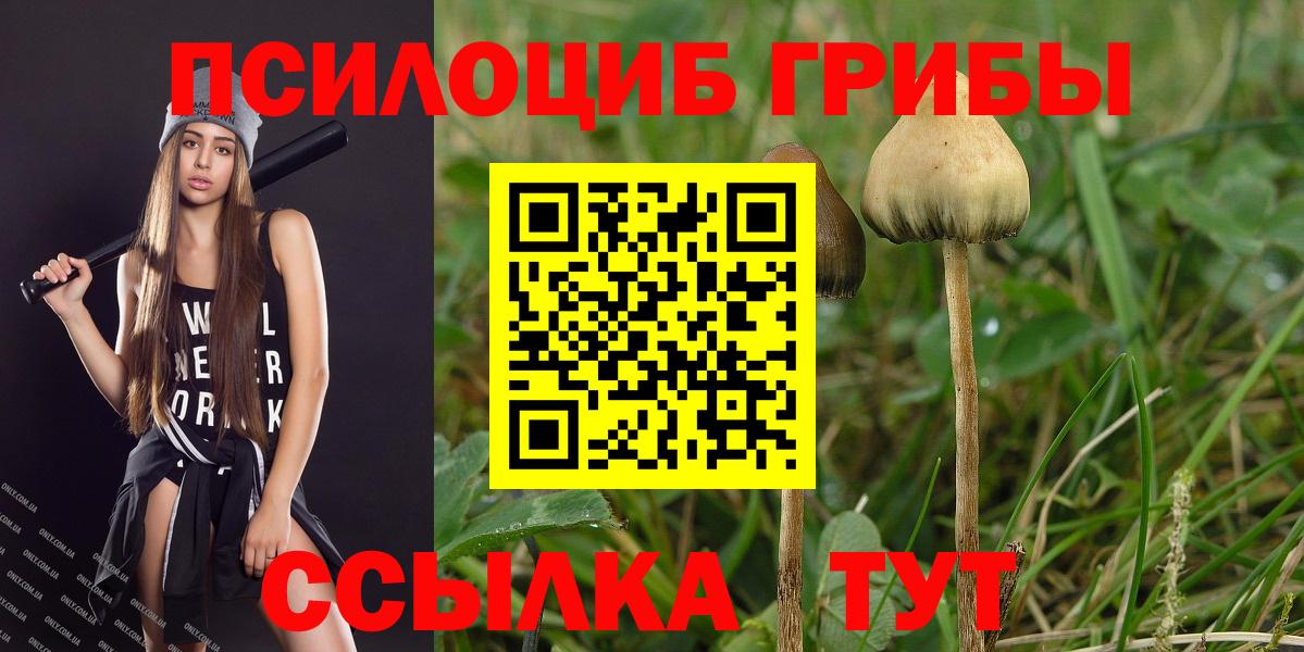 Галлюциногенные грибы мицелий Гурьевск